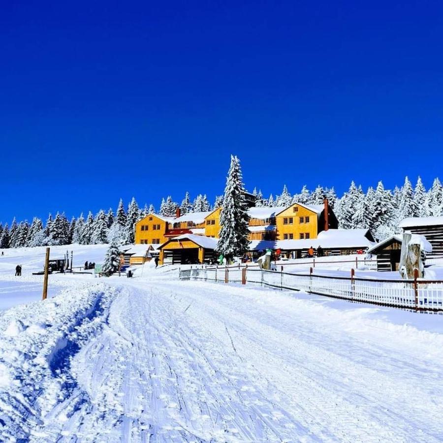 Horsky Hotel Kolinska Bouda Пец под Снежко Екстериор снимка